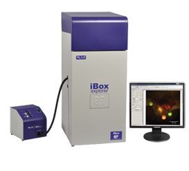 iBox Explorer 活體小動(dòng)物熒光顯微成像系統(tǒng)UVP凝膠成像分析系統(tǒng)