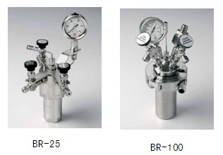 BERGHOF BR-25 / BR-100高壓反應釜