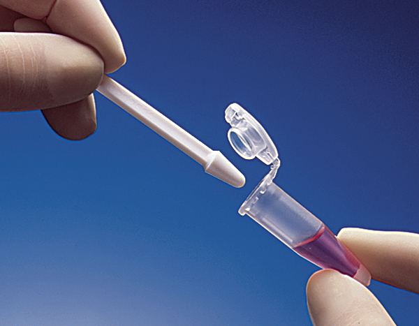 eppendorf 艾本德Micropestle微型小杵