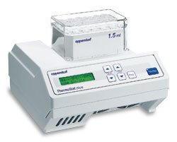 eppendorf 艾本德恒溫孵育器