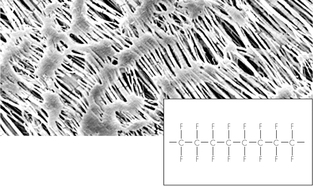 Sartorius賽多利斯聚四氟乙烯(PTFE)膜