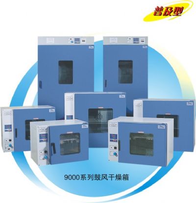 上海一恒DHG系列鼓風(fēng)干燥箱-9000系列