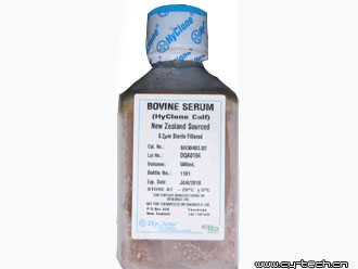Hyclone New Zealand BCS 