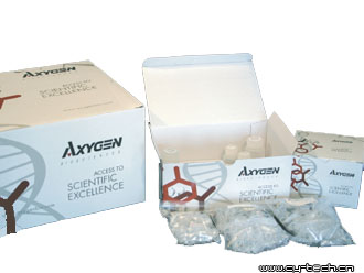 AXYGEN AP-MN-BF-VNAAxyPrep 體液病毒DNA/RNA小量試劑盒 