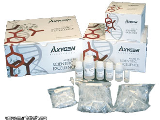 AXYGEN AP-MN-P-50AxyPrep質(zhì)粒小量試劑盒 