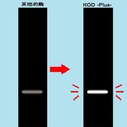 TOYOBO KOD-201KOD -Plus 